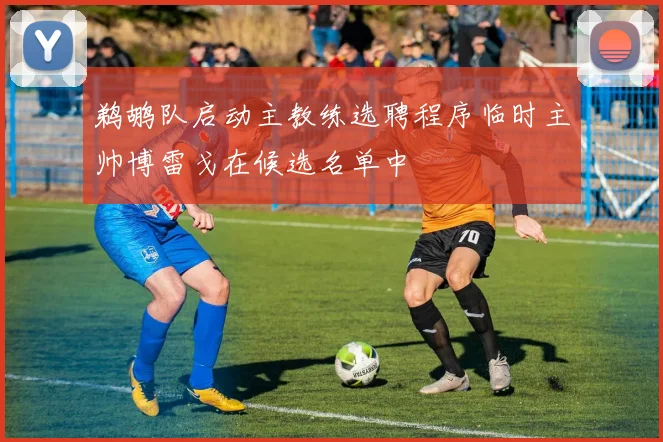 鹈鹕队启动主教练选聘程序临时主帅博雷戈在候选名单中