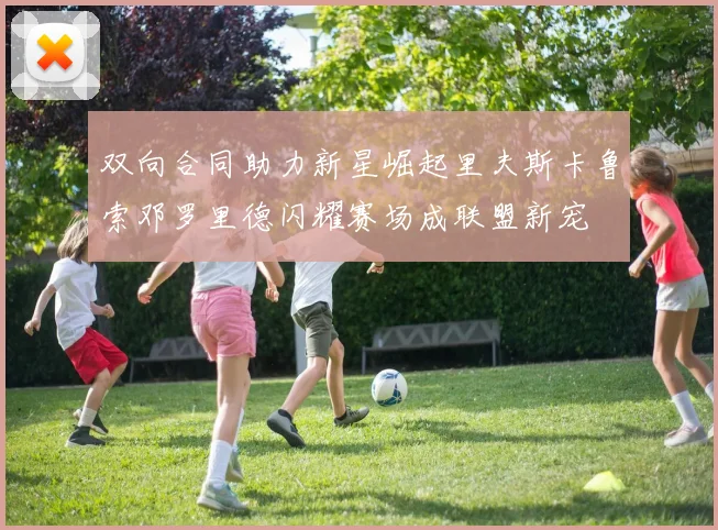 双向合同助力新星崛起里夫斯卡鲁索邓罗里德闪耀赛场成联盟新宠